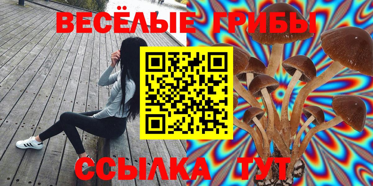 Псилоцибиновые грибы мухоморы Карасук