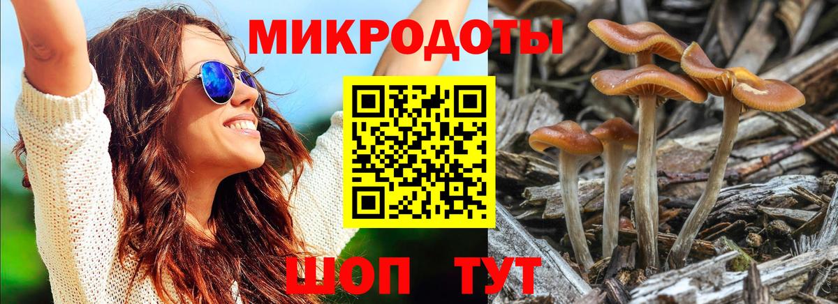 Псилоцибиновые грибы прущие грибы  Вход с VPN  Карасук 